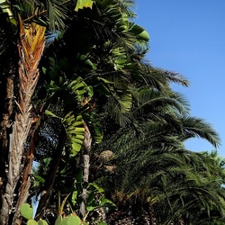 SELINUNTE. Fotografie di Giulio Azzarello ©2022. SELINUNTE. Fotografie di Giulio Azzarello ©2022.