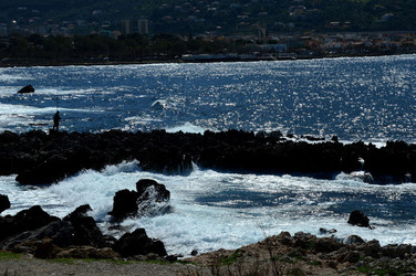 CAPO GALLO riserva marina e naturalistica a Palermo panoramiche e particolari. Fotografie di Giulio Azzarello ©2014. CAPO GALLO riserva marina e naturalistica a Palermo panoramiche e particolari. Fotografie di Giulio Azzarello ©2014.