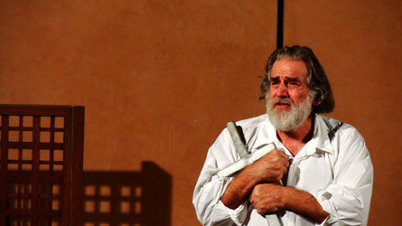 CARLO MAGNO spettacolo epico di e con Mimmo Cuticchio. Fotografie di Giulio Azzarello &copy;2014.