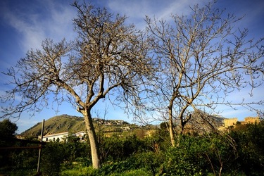 CAMPAGNA fotografie di Giulio Azzarello ©2020.