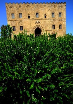 IL CASTELLO della ZISA di PALERMO. Fotografie di Giulio Azzarello ©2018. IL CASTELLO della ZISA di PALERMO. Fotografie di Giulio Azzarello ©2018.