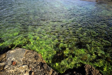 MARE SICILIANO fotografie di Giulio Azzarello &copy;2020.