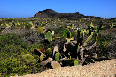 ISOLA DI LINOSA panoramiche e particolari. Fotografie di Giulio Azzarello &copy;2014.