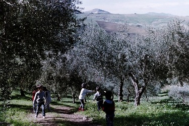 DIGITALIZZAZIONI fotografie di Giulio Azzarello &copy;2020.