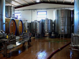 VIGNETO tipico siciliano a Salemi panoramiche e particolari. Fotografie di Giulio Azzarello &copy;2014.