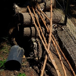GIARDINO SICILIANO. Fotografie di Giulio Azzarello ©2022. GIARDINO SICILIANO. Fotografie di Giulio Azzarello ©2022.