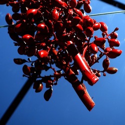 SPECCHIATI. Fotografia di Giulio Azzarello ©2023. SPECCHIATI. Fotografia di Giulio Azzarello ©2023.