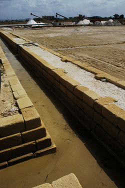 WWF Sicilia le Saline di Trapani. Fotografie di Giulio Azzarello &copy;2014.