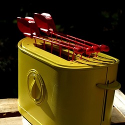 TOAST. Fotografie di Giulio Azzarello &copy;2025.