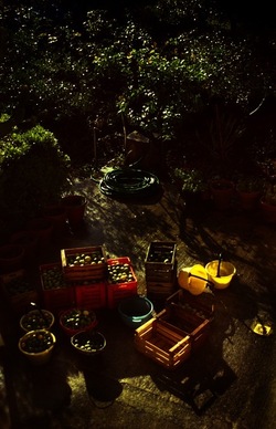 DIGITALIZZAZIONI fotografie di Giulio Azzarello &copy;2020.