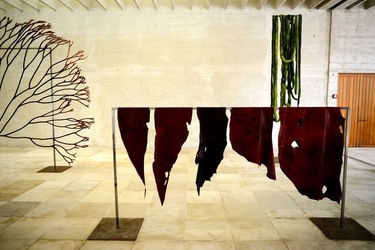 BIENNALE di VENEZIA Arte Contemporanea Giardini. Fotografie di Giulio Azzarello &copy;2020.