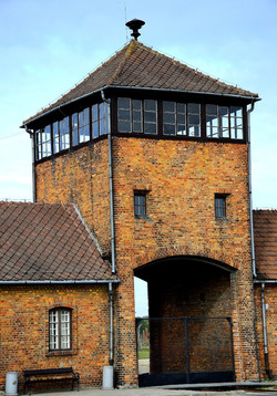 AUSCHIWITZ BIRKENAU il luogo della storia il campo. Fotografie di Giulio Azzarello &copy;2016.