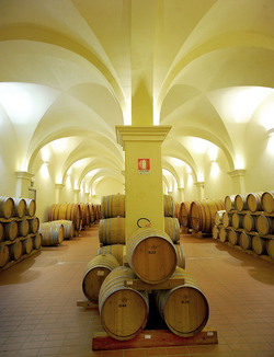 BOTTI per il vino. Fotografie di Giulio Azzarello ©2016. BOTTI per il vino. Fotografie di Giulio Azzarello ©2016.