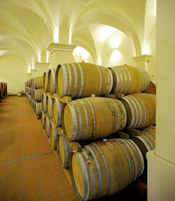 BOTTI per il vino. Fotografie di Giulio Azzarello ©2016. BOTTI per il vino. Fotografie di Giulio Azzarello ©2016.