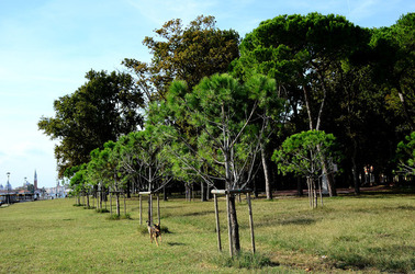 GIARDINI della BIENNALE a Venezia. Foto di Giulio Azzarello &copy;2015 2016.