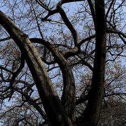 ORTO BOTANICO. Fotografie di Giulio Azzarello &copy;2024.
