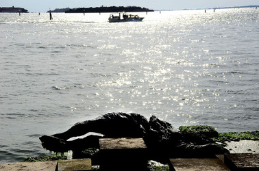 PADIGLIONI alla Biennale di Venezia. Foto di Giulio Azzarello &copy;2015 2016.