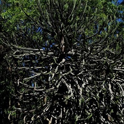 GIARDINO. Fotografie di Giulio Azzarello ©2022.