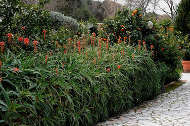 PAESAGGIO CATANESE panoramiche e particolari. Fotografie di Giulio Azzarello &copy;2014.