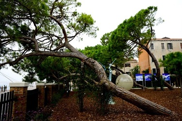 BIENNALE ARTI CONTEMPORANEE DI VENEZIA fotografie di Giulio Azzarello ©2020.