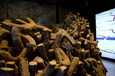 VENEZIA Padiglione Emirati Arabi Arsenale. Biennale Arch. Cont. Fotografie di Giulio Azzarello &copy;2022.