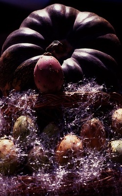 VUCCIRIA anni 90. Fotografie di Giulio Azzarello ©2022. VUCCIRIA anni 90. Fotografie di Giulio Azzarello ©2022.