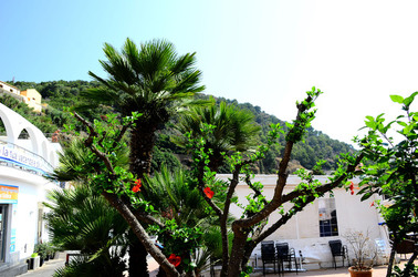 ISOLA DI USTICA il paese. Fotografie di Giulio Azzarello ©2016. ISOLA DI USTICA il paese. Fotografie di Giulio Azzarello ©2016.