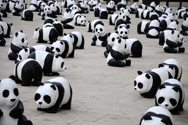 SIRACUSA arte a Ortiggia. Fotografie di Giulio Azzarello &copy;2014.