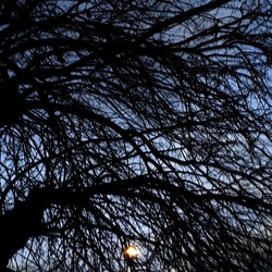 INVERNO. Fotografie di Giulio Azzarello &copy;2023.