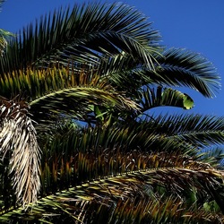 SELINUNTE. Fotografie di Giulio Azzarello ©2022. SELINUNTE. Fotografie di Giulio Azzarello ©2022.