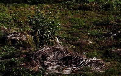 PALERMO fotografie di Giulio Azzarello ©2020.