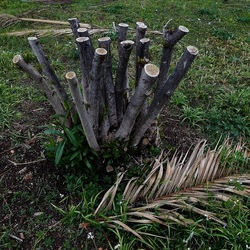 TRONCHI. Fotografie di Giulio Azzarello ©2022.