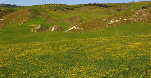 PAESAGGIO SICILIANO nel luogo delle macalube in Sicilia. Fotografie di Giulio Azzarello &copy;2014.
