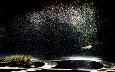 ORTO BOTANICO di Palermo. Fotografie di Giulio Azzarello ©2021.