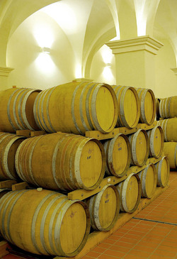 BOTTI per il vino. Fotografie di Giulio Azzarello ©2016. BOTTI per il vino. Fotografie di Giulio Azzarello ©2016.