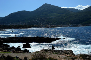 CAPO GALLO riserva marina e naturalistica a Palermo panoramiche e particolari. Fotografie di Giulio Azzarello ©2014. CAPO GALLO riserva marina e naturalistica a Palermo panoramiche e particolari. Fotografie di Giulio Azzarello ©2014.
