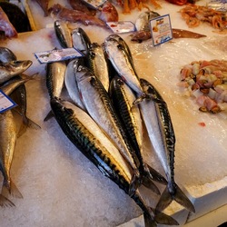 PALERMO. Fotografie di Giulio Azzarello &copy;2023.