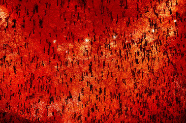 BIENNALE di VENEZIA padiglione giapponese. Foto di Giulio Azzarello &copy;2015 2016. Opera di Chiharu Shiota The KEY in the HAND .