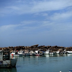 SELINUNTE. Fotografie di Giulio Azzarello &copy;2022.