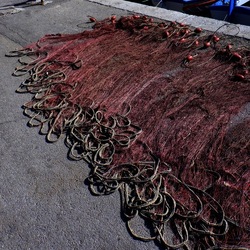 MONDELLO. Fotografie di Giulio Azzarello &copy;2022.