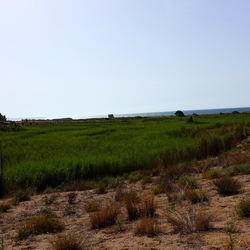 SELINUNTE. Fotografie di Giulio Azzarello ©2022. SELINUNTE. Fotografie di Giulio Azzarello ©2022.