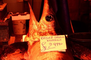 VUCCIRIA anni 90. Fotografie di Giulio Azzarello ©2022. VUCCIRIA anni 90. Fotografie di Giulio Azzarello ©2022.