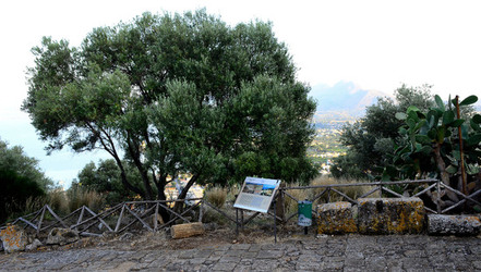 SOLUNTO in Sicilia. Fotografie di Giulio Azzarello ©2016. SOLUNTO in Sicilia. Fotografie di Giulio Azzarello ©2016.