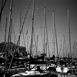 VELA fotografie di Giulio Azzarello ©2021. VELA fotografie di Giulio Azzarello ©2021.