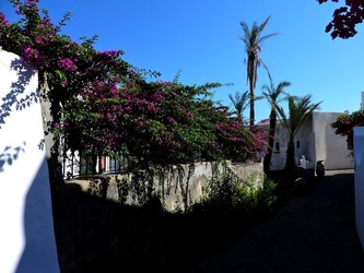 ISOLA di STROMBOLI fotografie di Giulio Azzarello &copy;2020.