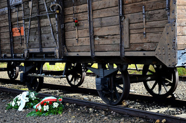 AUSCHIWITZ BIRKENAU il luogo della storia il campo. Fotografie di Giulio Azzarello &copy;2016.