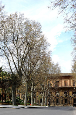 VILLA BONANNO a Palermo. Fotografie di Giulio Azzarello &copy;2016.