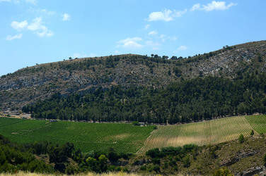 SEGESTA in Sicilia sito archeologico. Fotografie di Giulio Azzarello ©2014.