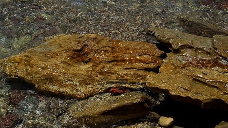 TERRASINI. Fotografie di Giulio Azzarello &copy;2022.