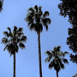 ORTO BOTANICO. Fotografie di Giulio Azzarello &copy;2024.